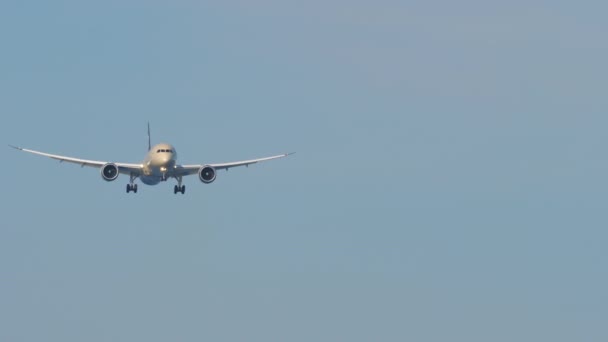 现代客机即将着陆 在蓝色的天空中 有着难以辨认的制服的飞机降落在空中 — 图库视频影像