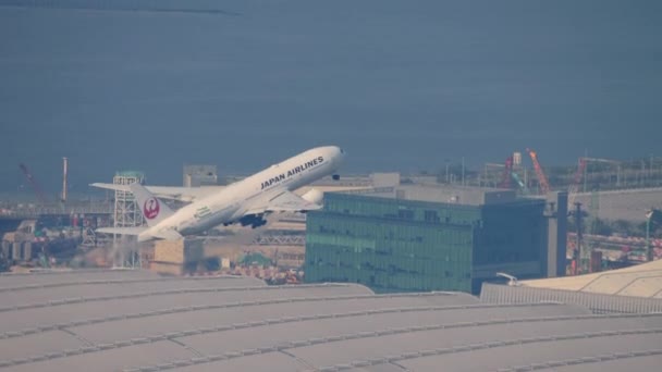 Hongkong November 2019 Großraumflugzeug Boeing 777 Der Japanese Airlines Startet — Stockvideo