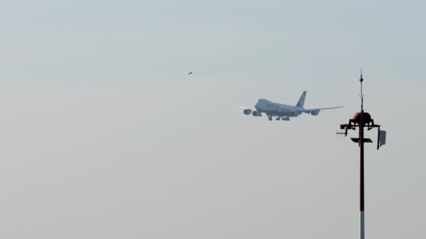 Bangkok Thailand 2023年1月21日 日本货运公司波音747客机靠近机场 然后降落在苏沃纳巴机场 货运公司飞行 — 图库视频影像