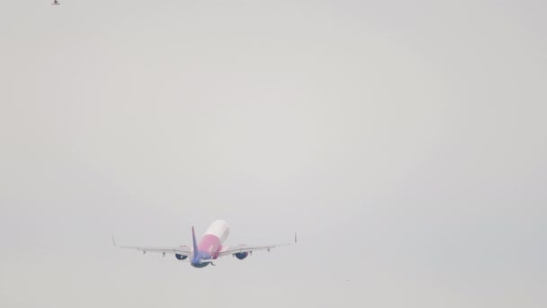 Novosibirsk Rusya Federasyonu Haziran 2020 Wizz Air Uçağı Tolmachevo Havaalanından — Stok video