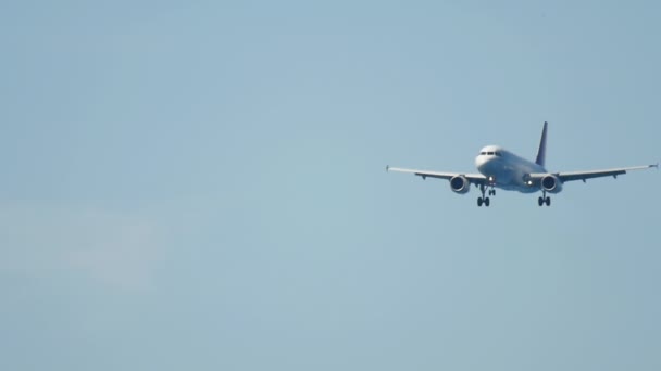 Aviones Reacción Civil Con Librea Irreconocible Acercándose Aterrizaje Moscas Pasajeros — Vídeo de stock