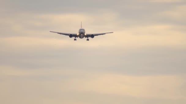 喷气式飞机接近降落在日落的天空 从下面看 客运航班抵达 — 图库视频影像