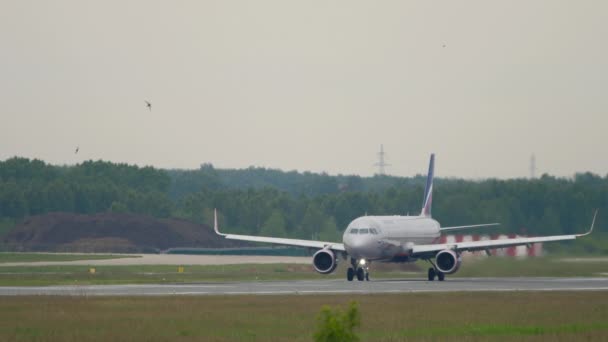 Novosibirsk Federação Russa Junho 2020 Aeroflot Plane Taxiing Terminal Tolmachevo — Vídeo de Stock
