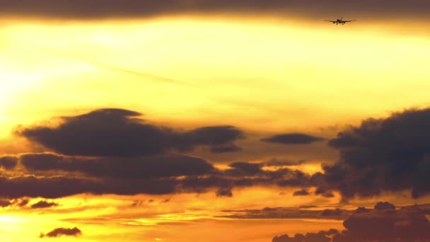 着陸に近づく旅客機の映像 曇った美しい夕日 空の飛行機 観光と旅行のコンセプト — ストック動画