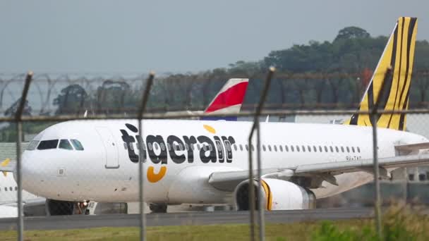 2015년 11월 27일 활주로에서 Tigerair 택시의 A320 Tao 교통이요 택시로 — 비디오