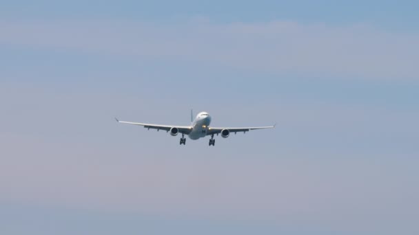 2023년 15일 공항에 캐세이패시픽 착륙의 상업용 비행기 에어버스 A330 비행기가 — 비디오