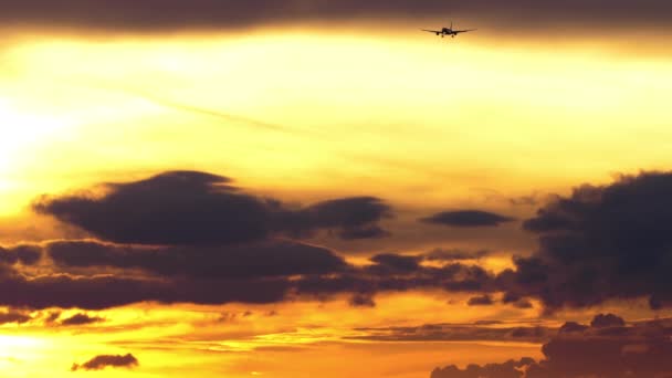 Mozgókép Sugárhajtású Repülőgépről Amint Leszáll Felhős Gyönyörű Naplemente Repülő Égen — Stock videók