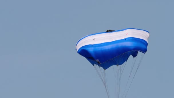 Novosibirsk Federación Rusa Julio 2019 Paracaidista Está Volando Paracaidista Aterrizó — Vídeos de Stock