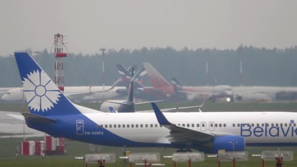 Moscow Rusya Federasyonu Temmuz 2021 Belavia Nın Boeing 737 Sefer — Stok video