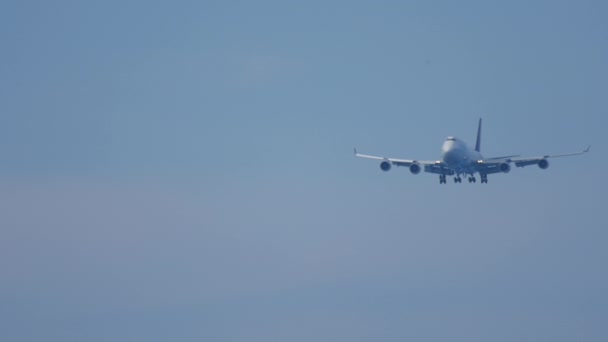 目に見えない肝臓を搭載した巨大なジェット機が着陸に近づいている ウィドボディの旅客機が飛ぶ 観光と旅行のコンセプト — ストック動画
