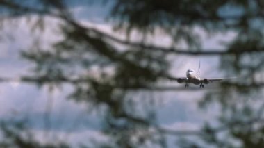 MOSKOW, Rusya Federasyonu - 12 Eylül 2020 Aeroflot uçağı iniş için yaklaşıyor. Ağaç dallarından bak, uçak iniyor. Seyahat kavramı.