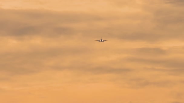 Εμπορικό Αεροπλάνο Jetliner Που Φέρουν Πάνω Από Σύννεφα Στο Όμορφο — Αρχείο Βίντεο