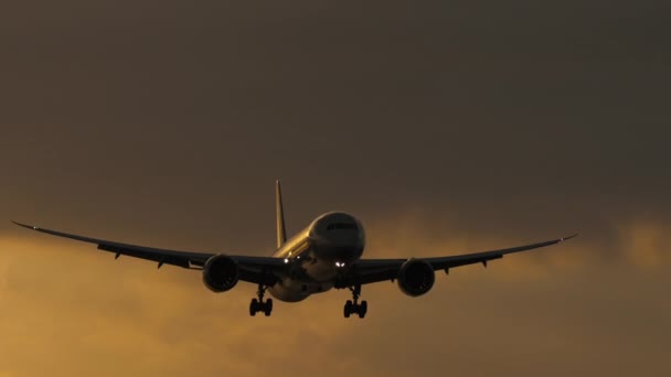 Jet Airplane Approaching Land Sunset Sky Long Shot Static Tourism — Stockvideo