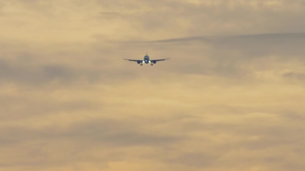 Avión Reacción Acercándose Tierra Descendiendo Cielo Del Atardecer Filmación Avión — Vídeos de Stock