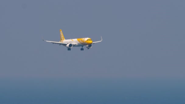 Phuket Tajlandia Luty 2023 Samolot Scoot Leci Zbliża Się Lądowania — Wideo stockowe