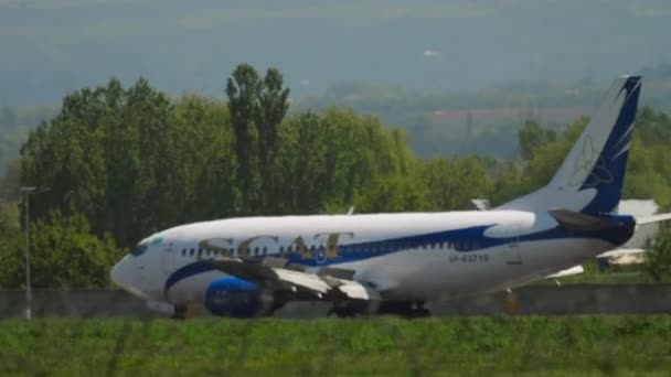 アルマニー カザフスタン 2019年5月5日 着陸後にブレーキをかけたScatのジェットボーイング737は アラマティ国際空港 カザフスタン サイドビューに到着しました スパイラルアップ — ストック動画