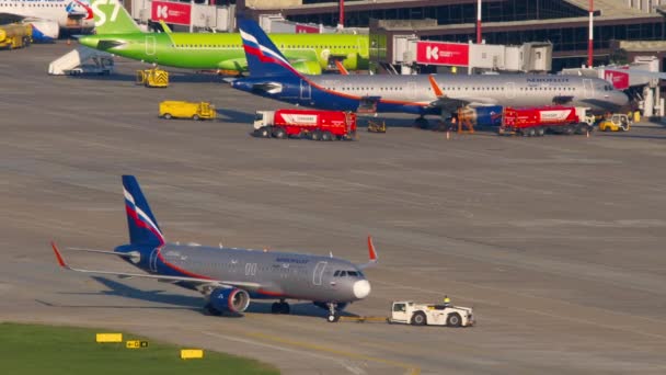 Sochi Rusia Julio 2022 Airbus A320 73779 Aeroflot Pista Sochi — Vídeo de stock