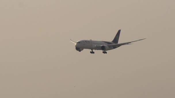 バンコク Thailand 2023 ボーイング787 8ドリームライナー タイ航空のHs Tqfは バンコクのスワンナプーム空港に着陸に近づいています 旅客便到着 サイドビュー — ストック動画