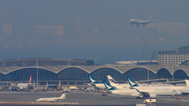 Hong Kong Novembro 2019 Longo Tiro Avião Passageiros Airbus A330 — Vídeo de Stock