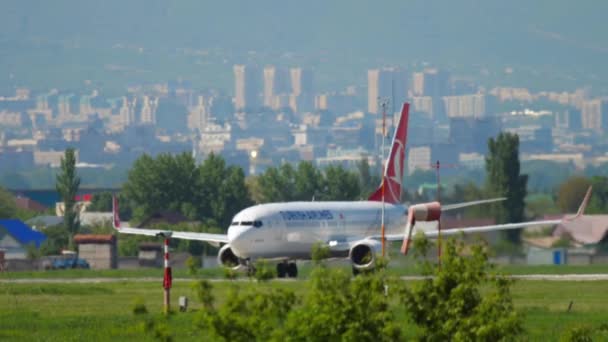 Almaty Kasakhstan Mai 2019 Boeing 737 Jvr Von Turkish Airlines — Stockvideo