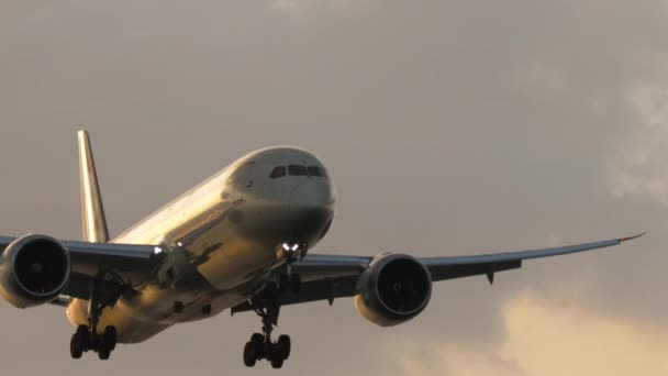 시네마틱 하늘에 착륙에 비행기 섬광에 비행기 — 비디오