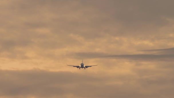 Vliegtuig Nadert Landing Passagiersvliegtuig Vliegt Bewolkte Zonsondergang Hemel Vooraanzicht Verre — Stockvideo