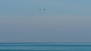 Uçak inmek üzere. Mavi denizin üzerinde uçan uçak, alçalıyor. Gökyüzünde turbopervane taşıyıcısı