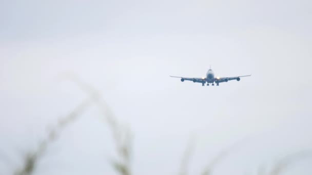 Ogromny Samolot Nierozpoznawalną Liberią Zbliża Się Lądowania Widok Przodu Szerokie — Wideo stockowe
