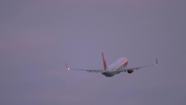 2019년 11월 28일 항공의 비행기 737 Ltq가 새벽이나 일몰에 공항에서 — 비디오