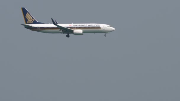 Phuket Thailand February 2023 Boeing 737 Mgd Singapore Airlines Наближається — стокове відео