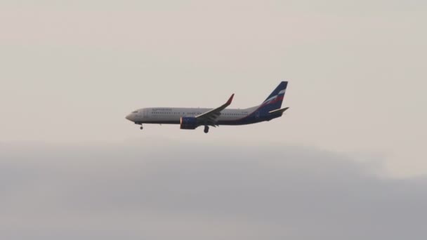 Moscow Russian Federation September 2020 Passagiersmaatschappij Boeing 737 8Lj Bmo — Stockvideo