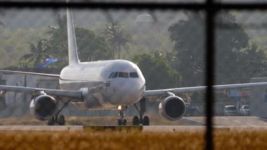 Havaalanı pistinin başında tanımlanamayan bir üniforması olan bir uçak. Parlak güneş ışığında havaalanı ve uçak. Arka planda palmiye ağaçları.