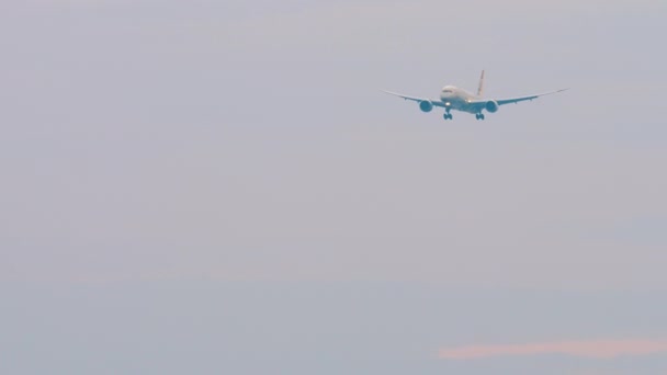 着陸に近づく旅客ジェット機 空にいる飛行機 飛行機 ロングショット フロントビュー — ストック動画