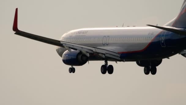 Moscow Russian Federation Juli 2021 Boeing 737 8Lj Bgi Van — Stockvideo