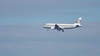 FRANKFURT AM MAIN, ALMANY - Eylül 04, 2015: Yolcu Airbus A320, Aer Lingus Retro 'nun Aer-DVM' i Frankfurt havaalanına indi. Uçak uçuşu, yan görüş