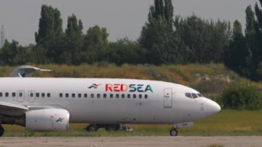 ALMATY, KAZAKHSTAN - 25 Haziran 2024: yan görüş, Boeing 737 uçağı, Almaty havaalanında taksicilik yapan Kızıl Deniz SU-RSB. Uçak kalkıyor. Kızıl Deniz Havayolları Mısırlı özel havayolu. Seyahat kutsaması