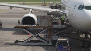 BANGKOK, THAILAND - 14 Kasım 2018: bir uçağa uçuş servisi yüklemesi. Büyük yolcu uçağı Tayland Havayolları kalkışa hazırlanıyor. Yemek şirketinde. Uçuş öncesi servisi