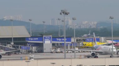 KUALA LUMPUR, MALAYSIA - 12 Ocak 2025: Malezya Havayolları Airbus A330, 9 M-MTG Malezya Tiger Livery ile Malezya 'nın Kuala Lumpur Havalimanı terminaline uçuyor. Önlük, havaalanı manzarası