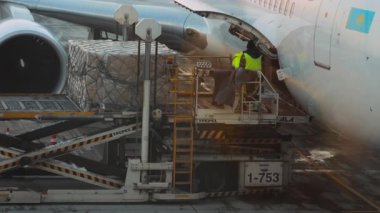 ALMATY, KAZAKHSTAN - 11 Ocak 2025: Hava Astana Boeing 767, Almaty havaalanının terminal penceresinden görüş. Bagaj ve kargo konteynerleri boşaltılıyor