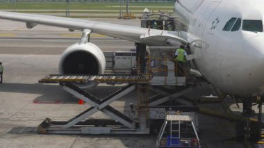 BANGKOK, THAILAND - 14 Kasım 2018: Terminal penceresinden görülen Tayland Havayolları uçakları için yer işleme operasyonları. Uçak içi yemek teslimatı ve bagaj boşaltımı. Havacılık, lojistik ve seyahat