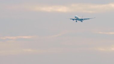 PHUKET, THAILAND - 17 HAZİRAN 2025: Airbus A330 of Cathay Pacific Phuket havaalanına iniyor. Seyahat kavramı