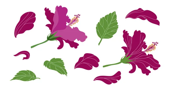 Hibiskus Λουλούδι Επίπεδη Σύγχρονη Απεικόνιση Εικονογράφηση Διανύσματος — Διανυσματικό Αρχείο