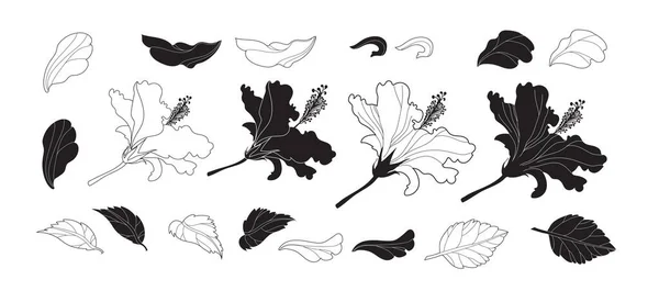 Hibiskus Flower Flat Modern Illustration Vector Illustration — Stock Vector