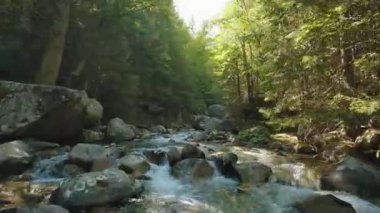 Fast flight over a mountain river flowing among large stones and surrounded by trees on the banks. Tatra Mountains, Slovakia. POV filmed with FPV drone.