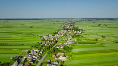 Aerial view of decorative ornaments of diverse green fields and houses arranged in a line along the road. Picturesque landscape, agriculture. Suloszowa, Poland