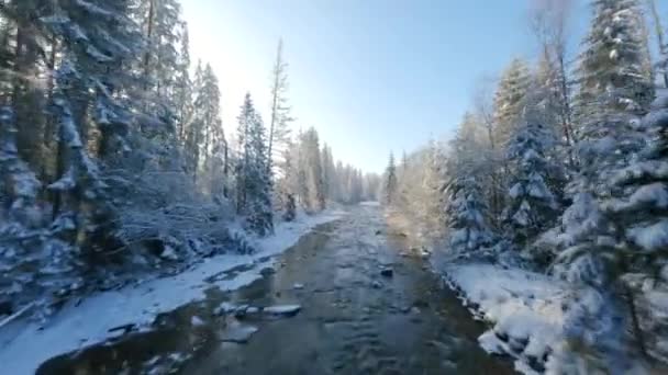 Быстрый Полет Вдоль Горной Реки Окружении Заснеженного Леса Сказочный Зимний — стоковое видео
