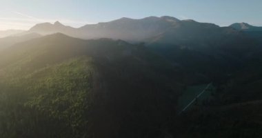 Yazın gün doğumunda ya da batımında, orman ve kayalıklarda güzel dağ manzarası. Zakopane, Tatra dağları, Polonya