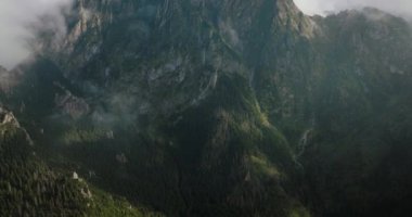 Yazın güzel dağ manzarası, orman ve kayalar. Bulutların arasında uçuyor. Zakopane, Tatra dağları, Polonya
