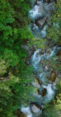 Dikey video. Tepeden aşağı bir dağ nehri büyük taşların arasında akıyor ve kıyılarda ağaçlarla çevrili. Tatra Dağları, Slovakya.