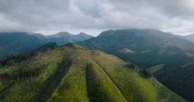 Yazın güzel dağ manzarası, bulutlu gökyüzü, orman ve kayalar. Zakopane, Tatra dağları, Polonya